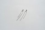 SHORT OPEN FRINGE EARRINGS